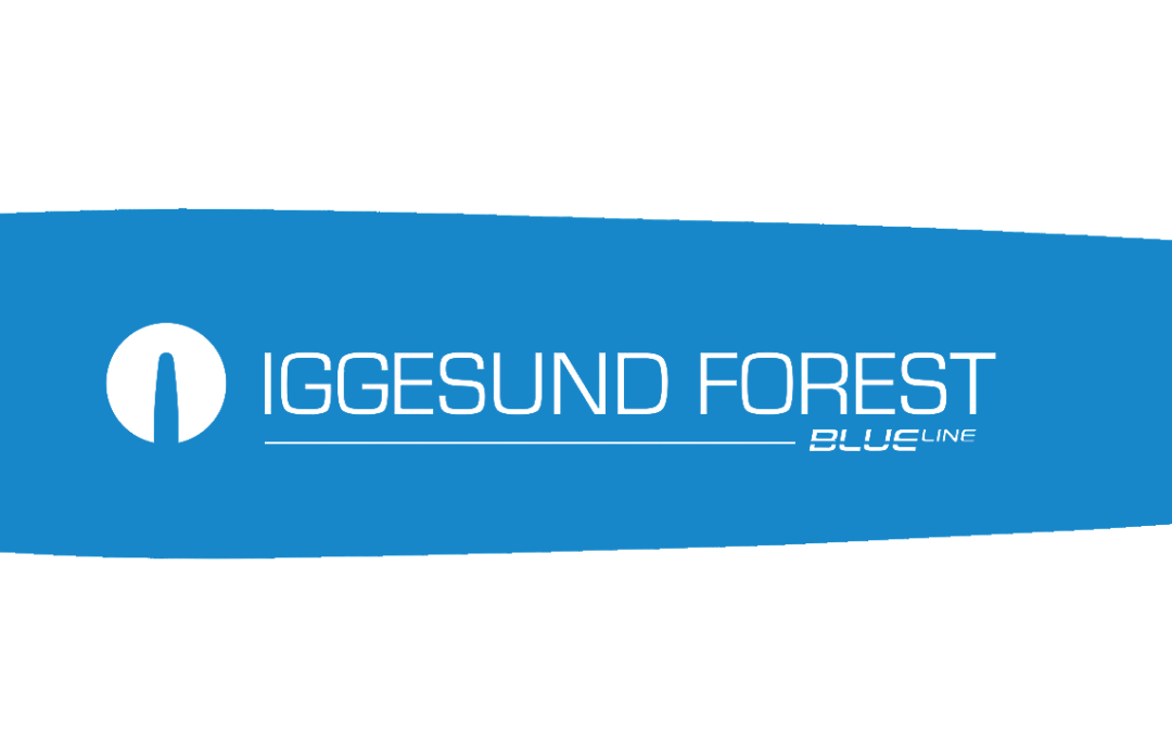 Harvesterschiene Iggesund  R8  60cm / 2mm