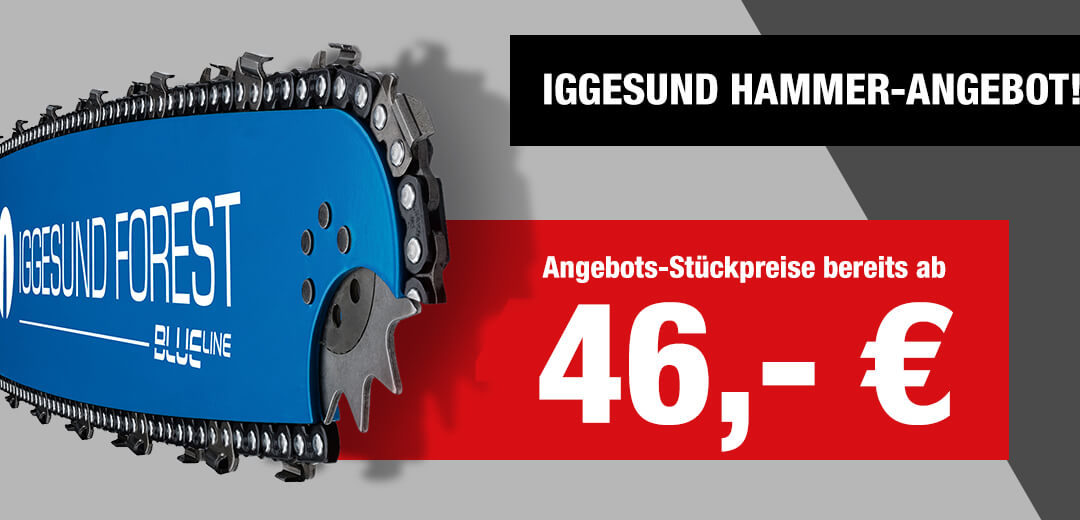 Iggesund Schienen – HAMMER-AKTION